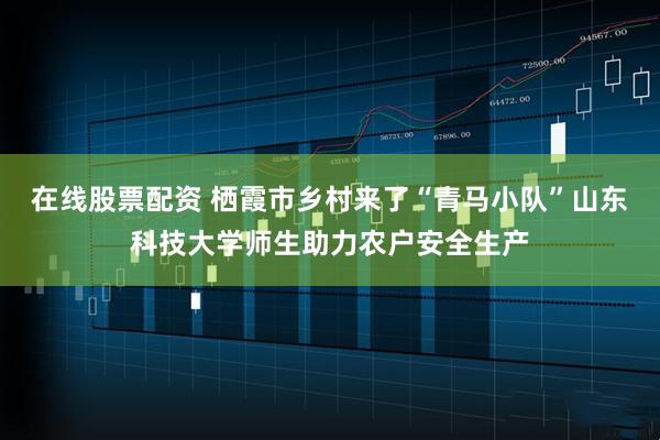 在线股票配资 栖霞市乡村来了“青马小队”山东科技大学师生助力农户安全生产