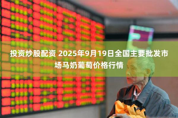 投资炒股配资 2025年9月19日全国主要批发市场马奶葡萄价格行情